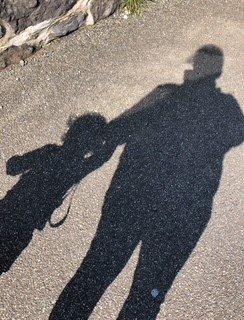 Shadow of adult and young child holding hands